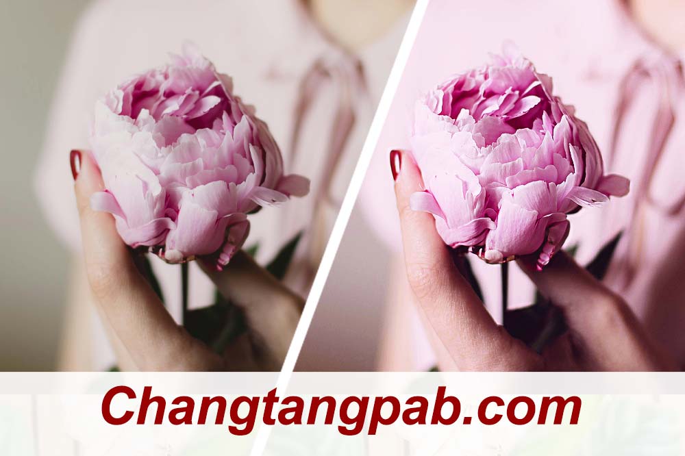 รับแก้ไขภาพถ่ายเบลอ-ให้กลับมาคมชัด